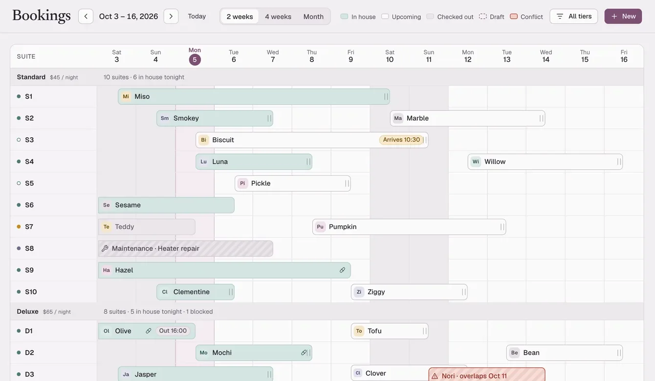 The Catnap booking calendar: a timeline of suites and stays across two weeks, with today highlighted.